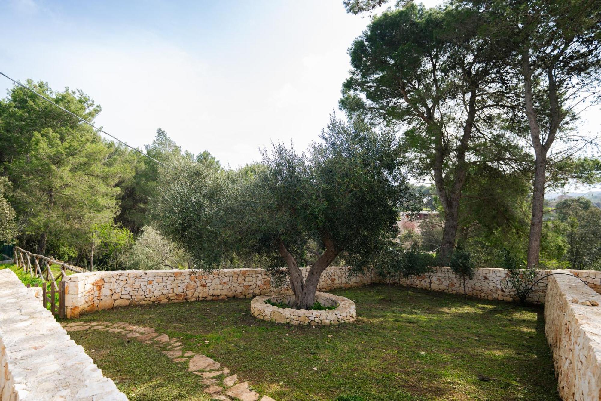 Trulli Magda Villa Martina Franca Luaran gambar