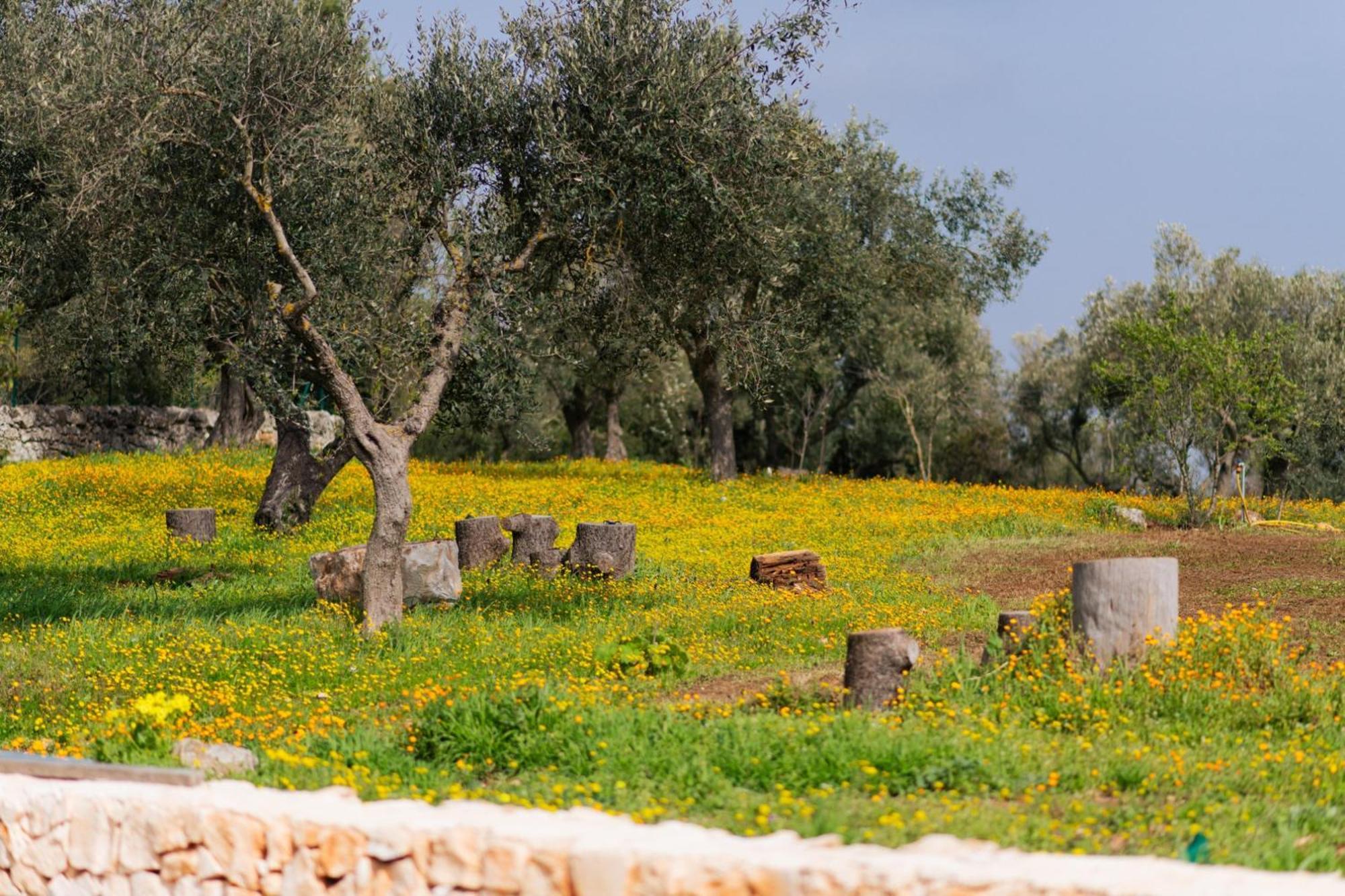 Trulli Magda Villa Martina Franca Luaran gambar